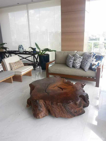Mesa de Centro Paca (100x35)