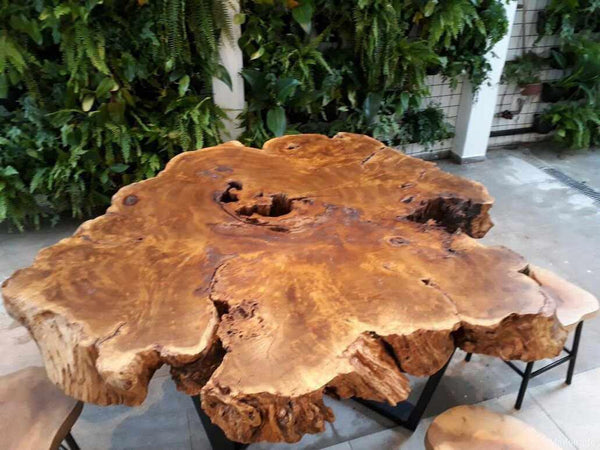 Mesa de Jantar Oapixana 200cm de Diametro - 8 a 10 lugares